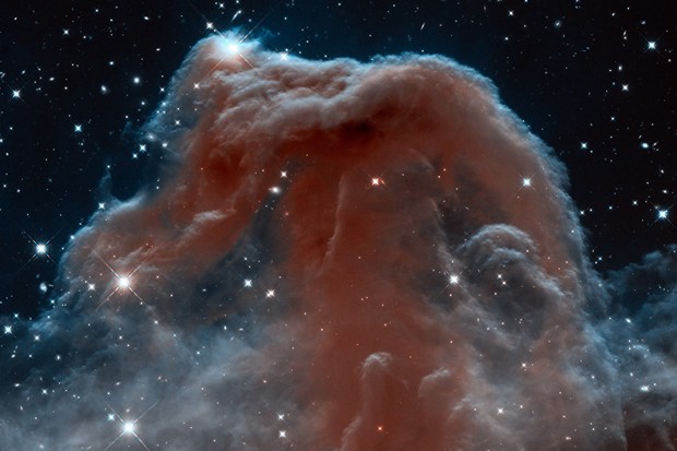 another amazing Nebula
