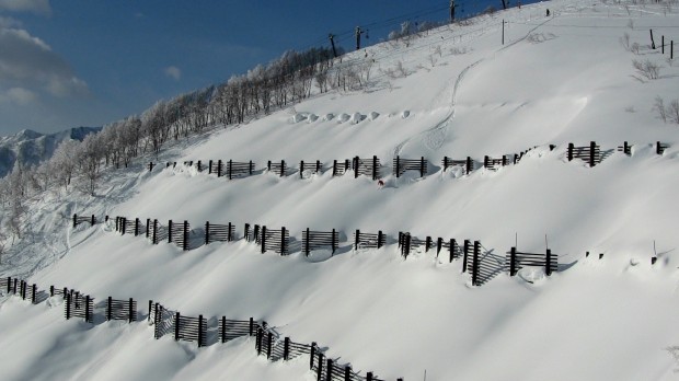 Jake Cohn in the avalanche fences of Happo One ski resort in Japan.  photo: miles clark