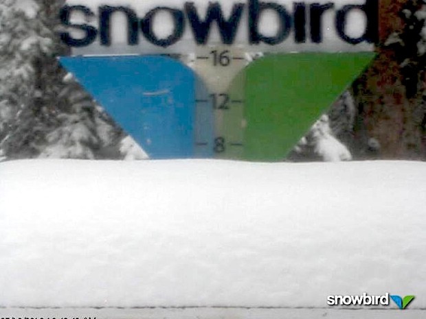 Snowbird snow stake today