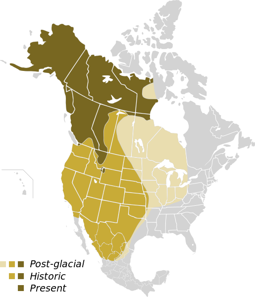 Historic and present grizzly bear population maps