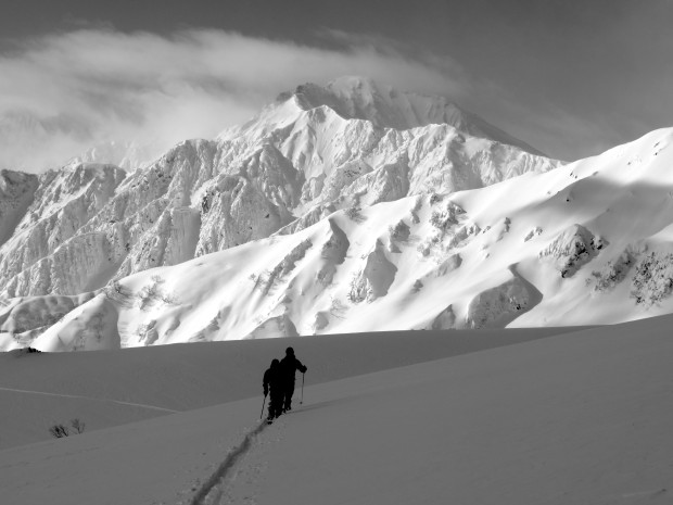 Backcountry skiing avalanche terrain in Hakuba, Japan.  photo: miles clark