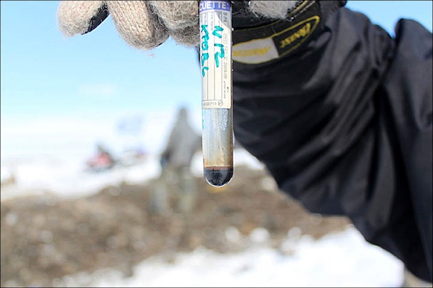 woolly mammoth blood from recent specimen suspected to contain natural antifreeze