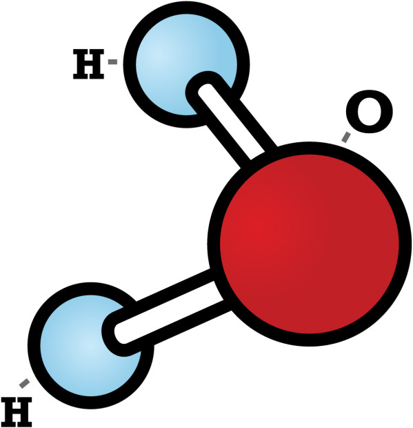 A water molecule and its vicious V 