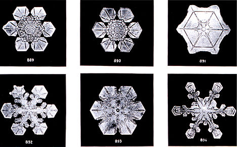 Unique snowflakes due to emergence