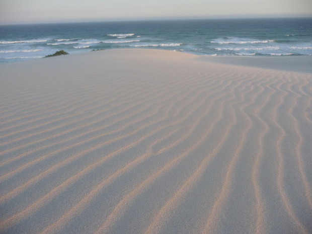 sand dune emergence
