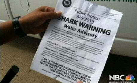 The fake shark warning posted on June 6th