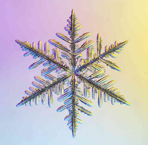 Zoomed in view of snow flake