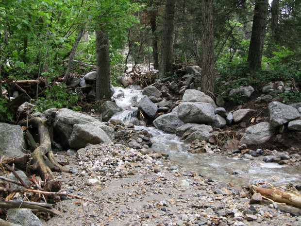 A new stream bed still gushes water 40 feet from where the old stream bed sits dry.