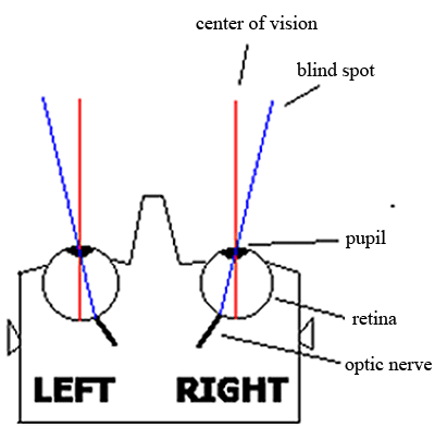 illustration-blind-spot