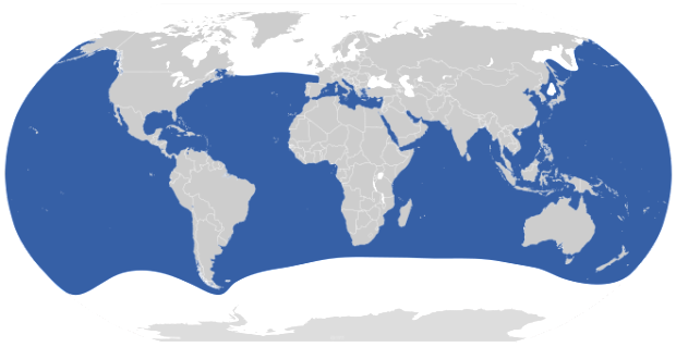 Great White distribution on Earth in blue