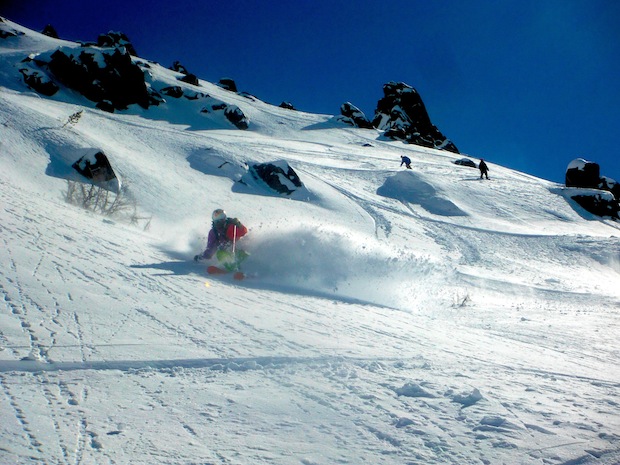 Spanish Jelly finds late day sun freshies en el Patio de Juego yesterday.  photo:  mc