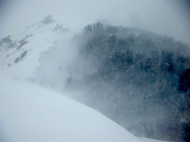 Ever wondered how snow much snow blows into Palmera?  Like this.  photo:  snowbrains.com