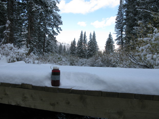 Almost a Nalgene bottle's worth of Snow - Albion Basin: Alta, Utah
