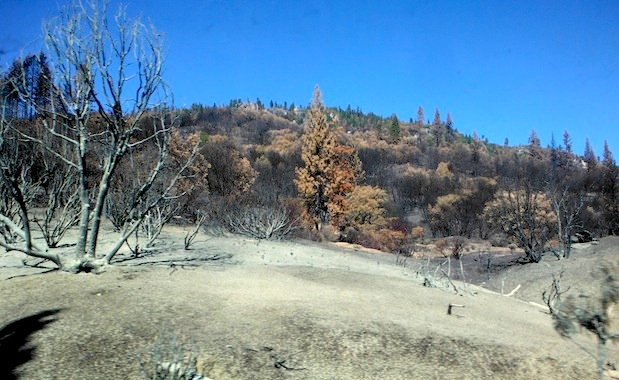 Highway 120 near Yosemite Park entrance.  Beige stuff in foreground is some sort of fire suppressant that was sprayed there by firefighters.