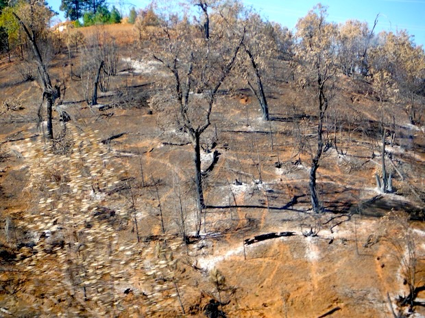 Scorched earth near Rainbow Pools