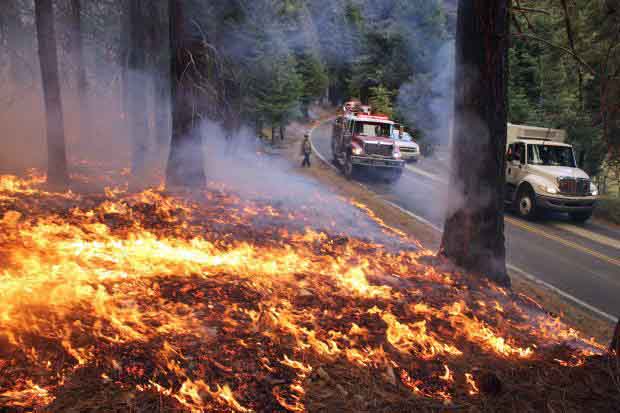 Rim fire in Sept. on side of highway 120.   photo: wildfiretoday.com