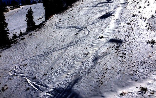 mammoth 60th anniversary sketchy ski tracks