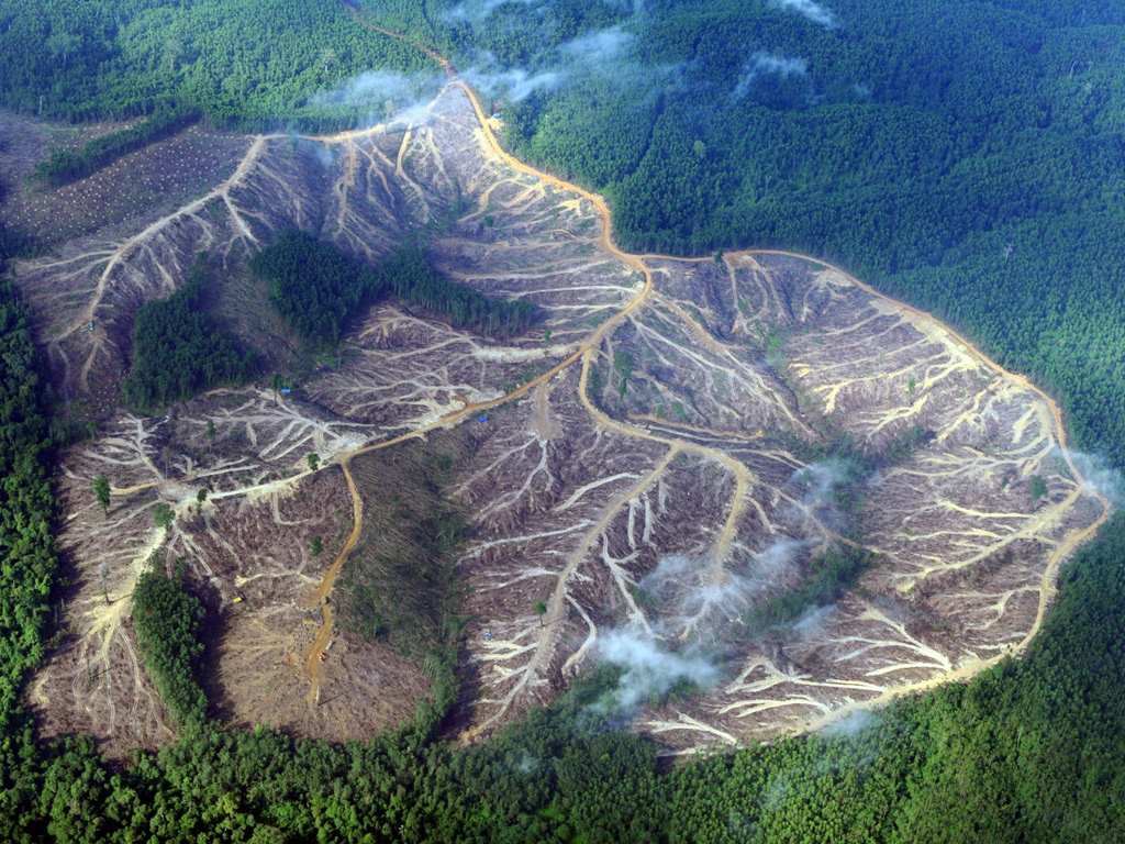 Deforestation in Amazon Could Reduce Snowfall in Sierra ...