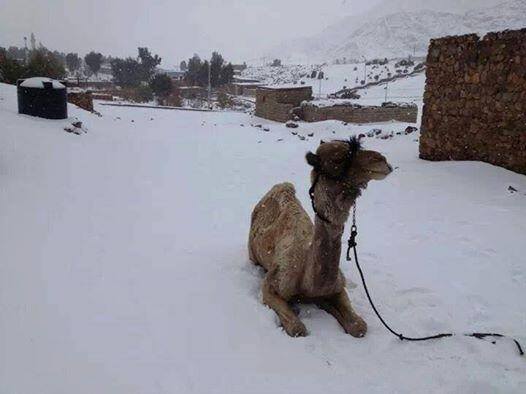 egypt with snow