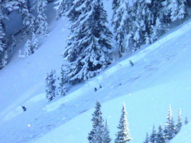 White Pine Canyon avalanche to the ground.  learn more:  white pine avy