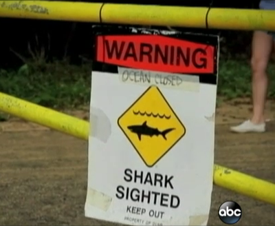 Shark sign posted in Maui after the attack on Monday.