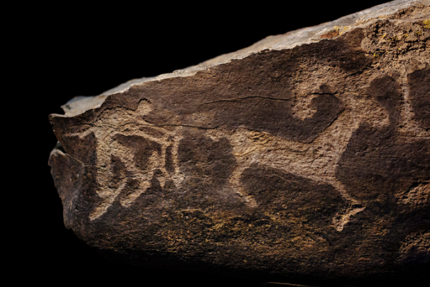 Scientists say the Altai hunter's lifestyle extends back thousands of years, as evidenced by this ancient rock engraving of a skier chasing an ibex. photo: npr