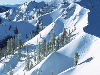 california ski