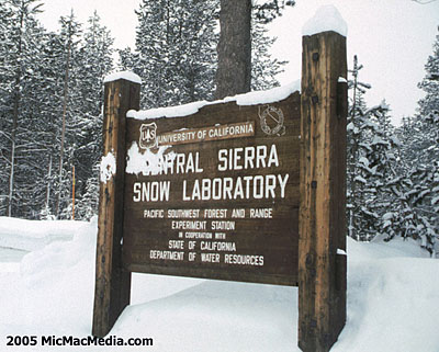The snow lab at 6,900 feet on Donner Summit, CA.  photo:  thestormking.com