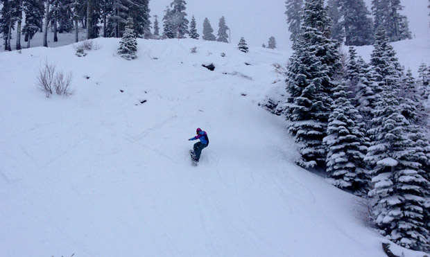 Searching for soft at Squaw