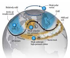 Image of a week polar vortex