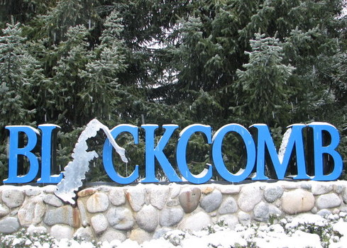 The Blackcomb Logo in the flesh, but not ever in print nor online.
