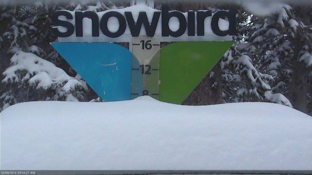 Snowbird snow stake today at 10".