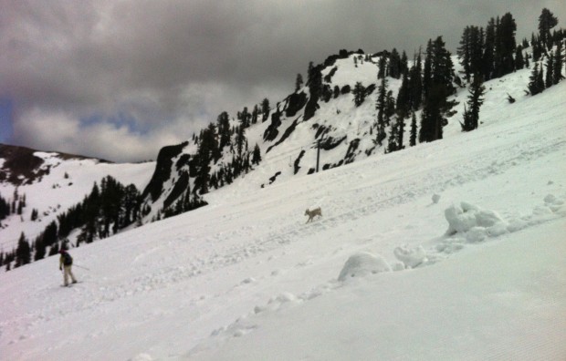 A lady and her dog dropping Alpine Bowl