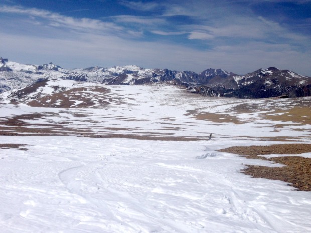 Here's a view of the plateau: you could ski the majority of the way across back to Ellery Bowl (which was mashed potatoes at 3:30pm on a hot day)