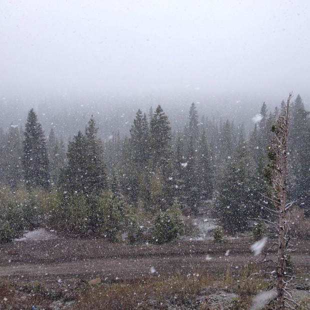 Snowing hard at Sugar Bowl, CA at 11am today.