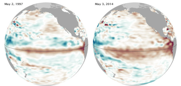 Map showing the strong El Nino that is forming in the Pacific.  