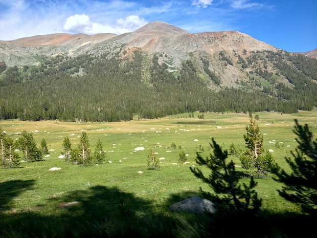 Mt. Gibbs and Dana Meadows.  Gorgeous.
