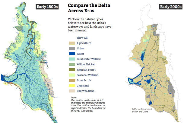 The California Delta was once a true gem and it still is pretty damned special.