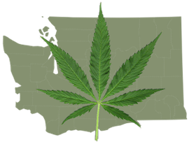 legal marijuana in washington state