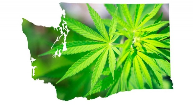 legal marijuana in washington state