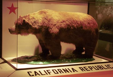 Monarch, the California Grizzly Bear.  Click here for a sad story:  Monarch