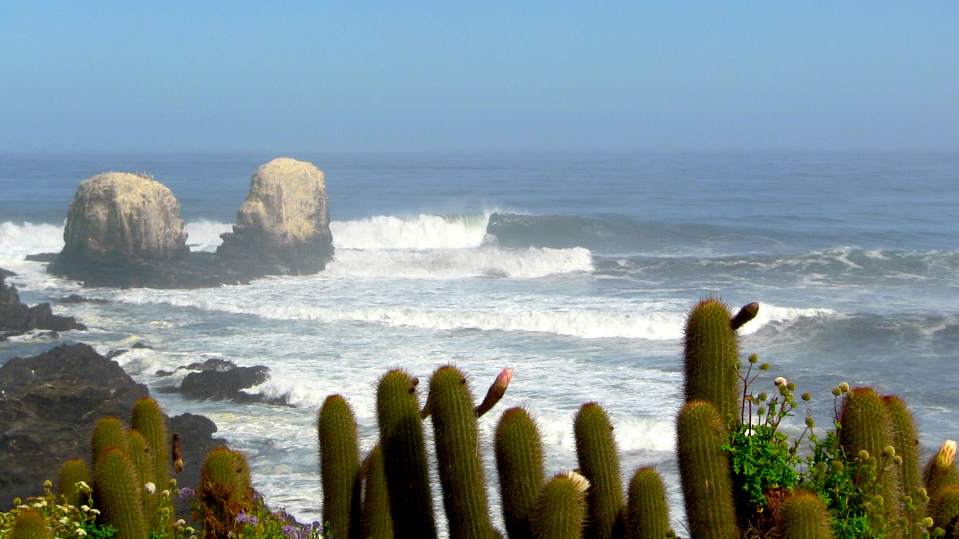 Chile Surf & Culture Report: Earthquakes & Huge Waves - SnowBrains1920 x 1080