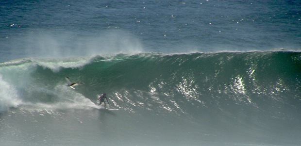 Shaun O'Connell ripping a bomb out the back last Saturday at Punta de Lobos.