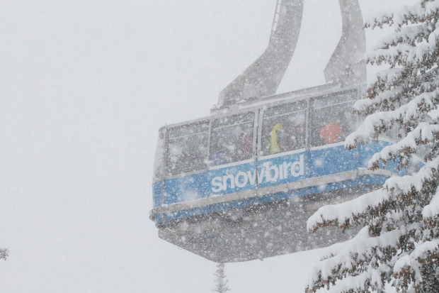 Snowbird tram and nuking snow.