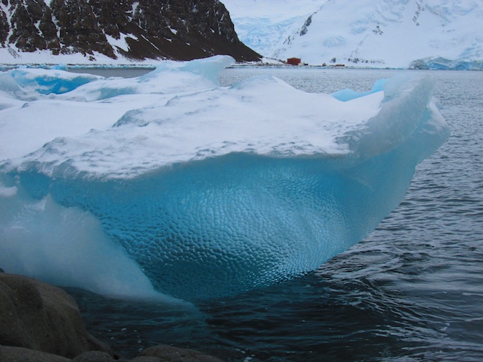 Stellar cupped blue ice in Antarctica. photo: Ariana SnowdonStellar cupped blue ice in Antarctica. photo: Ariana Snowdon