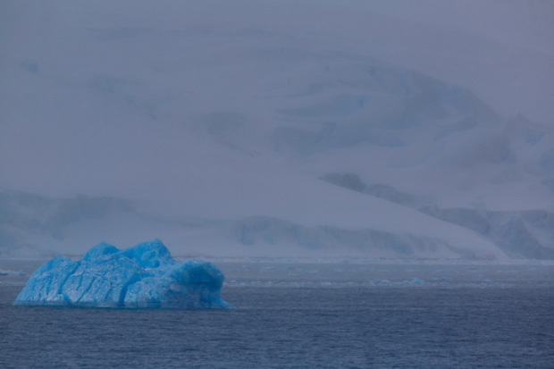 Blue iceberg in Antarctica.