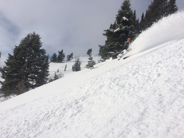 Hadley Hammer finding the goods on the Lower Mountain!