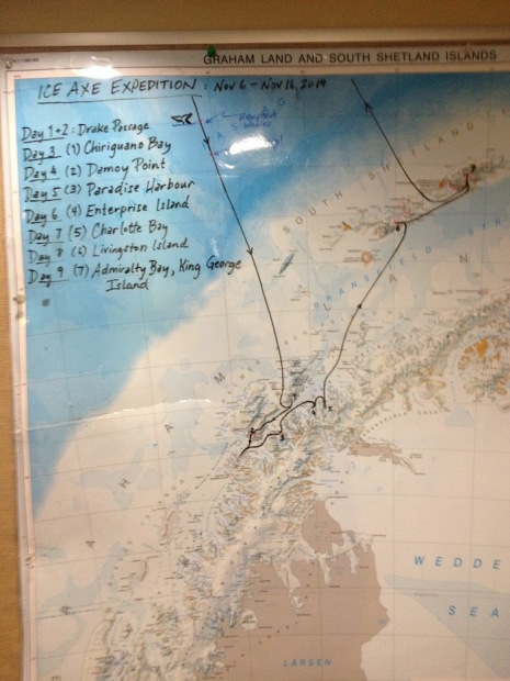 A fuzzy shot of our 6 days in Antarctica.