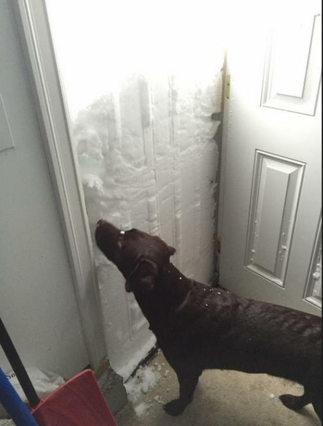 “How would you like to open your front door and see this? East Lancaster, NY… Photo from Tara Schwab"