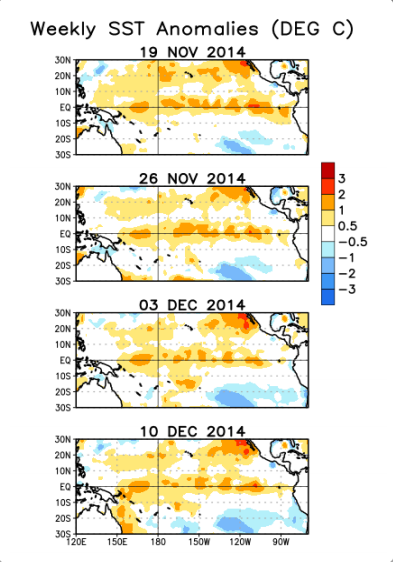 SST Anomalies Nov 19 14 to Dec 10  El Nino
